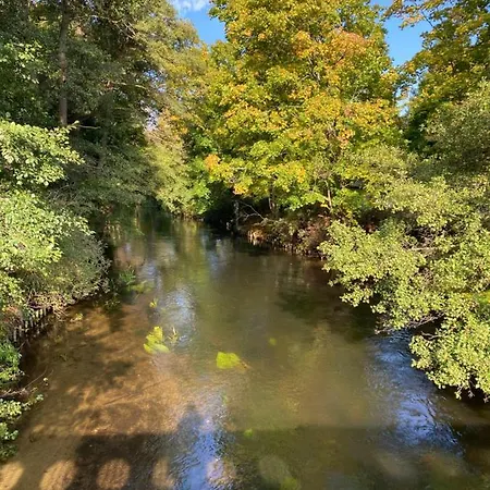 - Dom Smoldzinski Smoldzinski Las