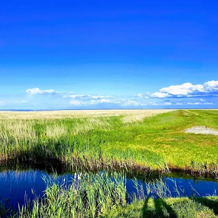 - Dom Smoldzinski Smoldzinski Las