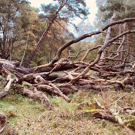 - Dom Smołdziński Apartament *