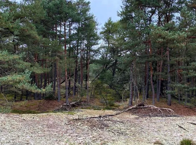 Lägenhet - Dom Smoldzinski *