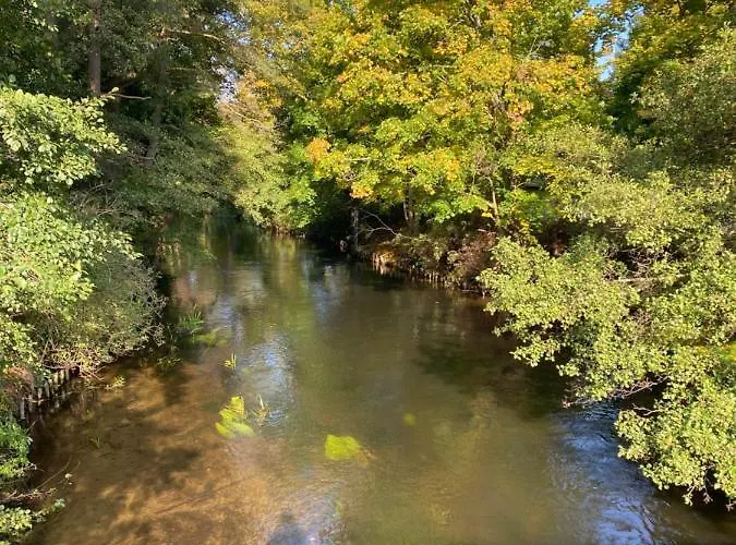 - Dom Smoldzinski Smoldzinski Las