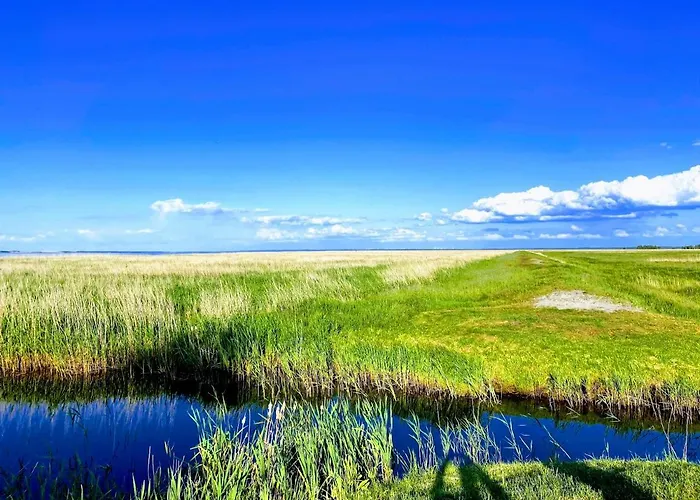 - Dom Smoldzinski Smoldzinski Las