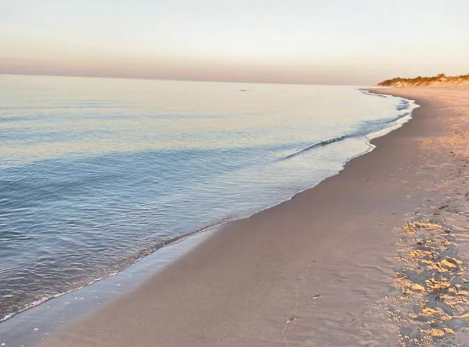 - Dom Smoldzinski Smoldzinski Las